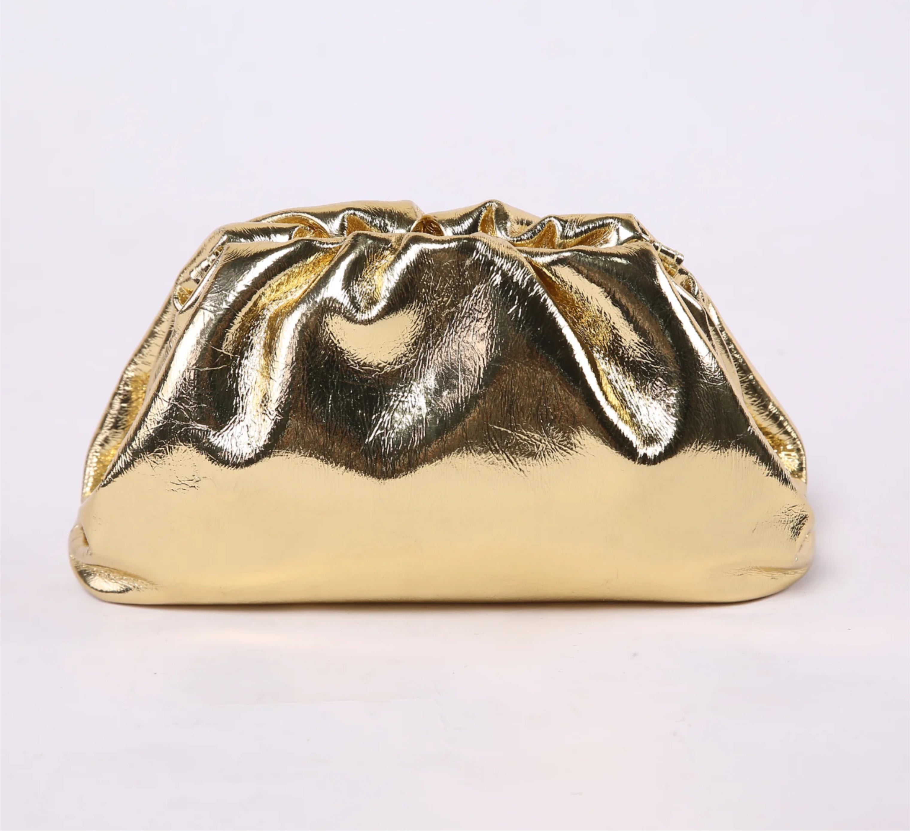 The Metallic Buenos Aires Pouch